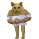 TM_DemocratCat Discord emoji