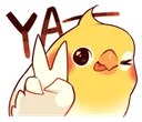 birbya birbya