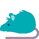cyanbouncerat