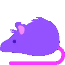 purplebouncerat