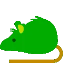 greenbouncerat