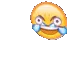 XD