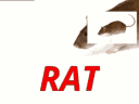 :rat: Discord Emote