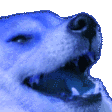 :AnimatedDogeLaugh: Discord Emote