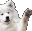 ad_dog_wave