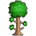 terraria