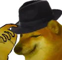 cheemstip