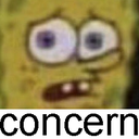 spongecern