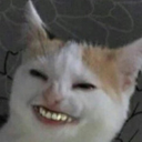 :catmouth: Discord Emote
