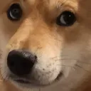 Da_Fricc