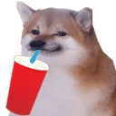 cheemsslormp