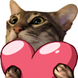 :cat_love: Discord Emote