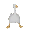 dgoosedefault