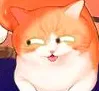 kitacatyeah