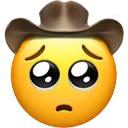 pleadingcowboy