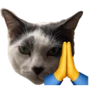 maxbless