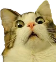 ohno