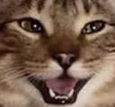 pleased