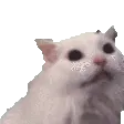 AYYYY