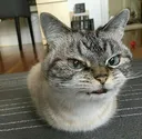 anger anger