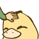 duckpat duckpat
