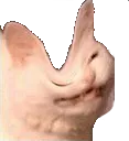 dentCat