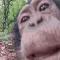 monkey_lick monkey_lick