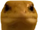 meRn