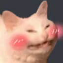 Blush Cat blush_cat Discord Emoji