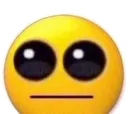wtf