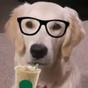 DoggoSip