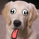 :DoggoDerp: