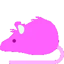 pinkrat