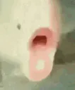 fishpog
