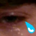 Cri Cri