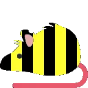 beebouncerat
