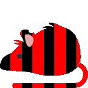 tassobouncerat