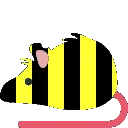 beebouncerat