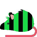 unitbouncerat unitbouncerat