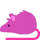 dixonbouncerat