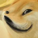 warpdoge