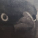 ONCrowofjudgement Discord emoji