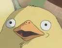 duckDerp