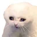 aaaaaaa