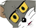 TomWTF