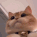 :readingloungebackwardsrnatm:
