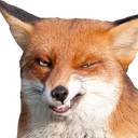:yich: Discord Emote