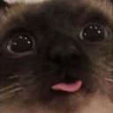 CatMlem