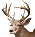 deertroll