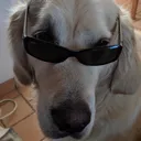 2kool4skool